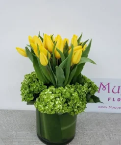 Bonjour: A Radiant Blend of Yellow Tulips and Lush Green Hydrangea