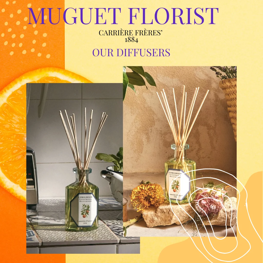 Home-Fragrances-Orange-Blossom-muguet-florist-beverly-hills-1.webp