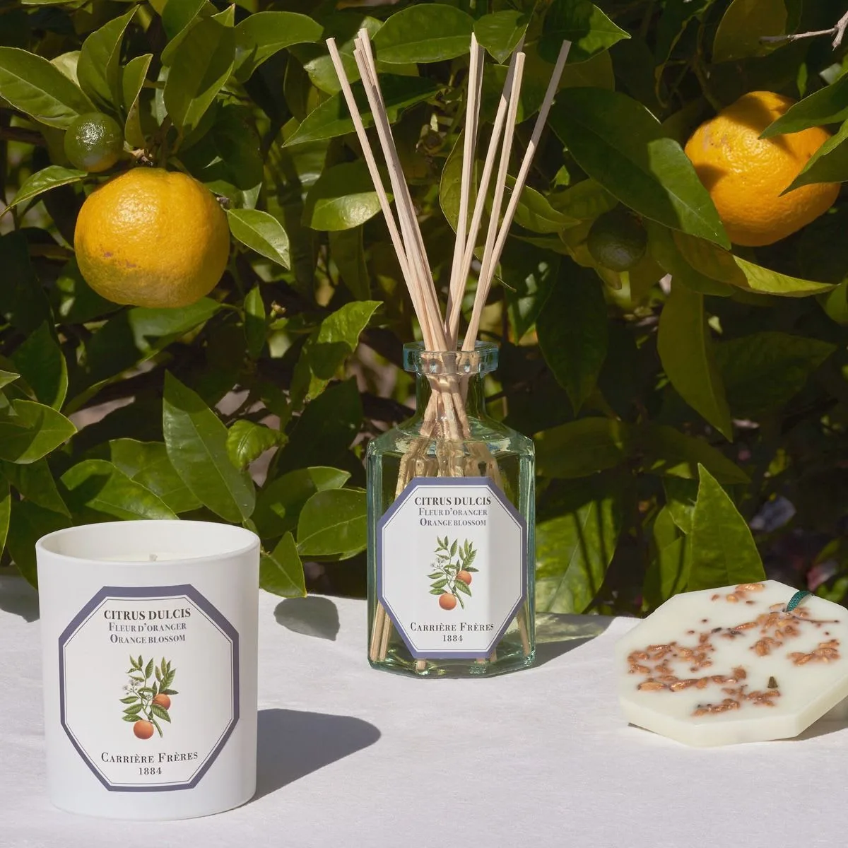 Home-Fragrances-Orange-Blossom-muguet-florist-beverly-hills-2.webp