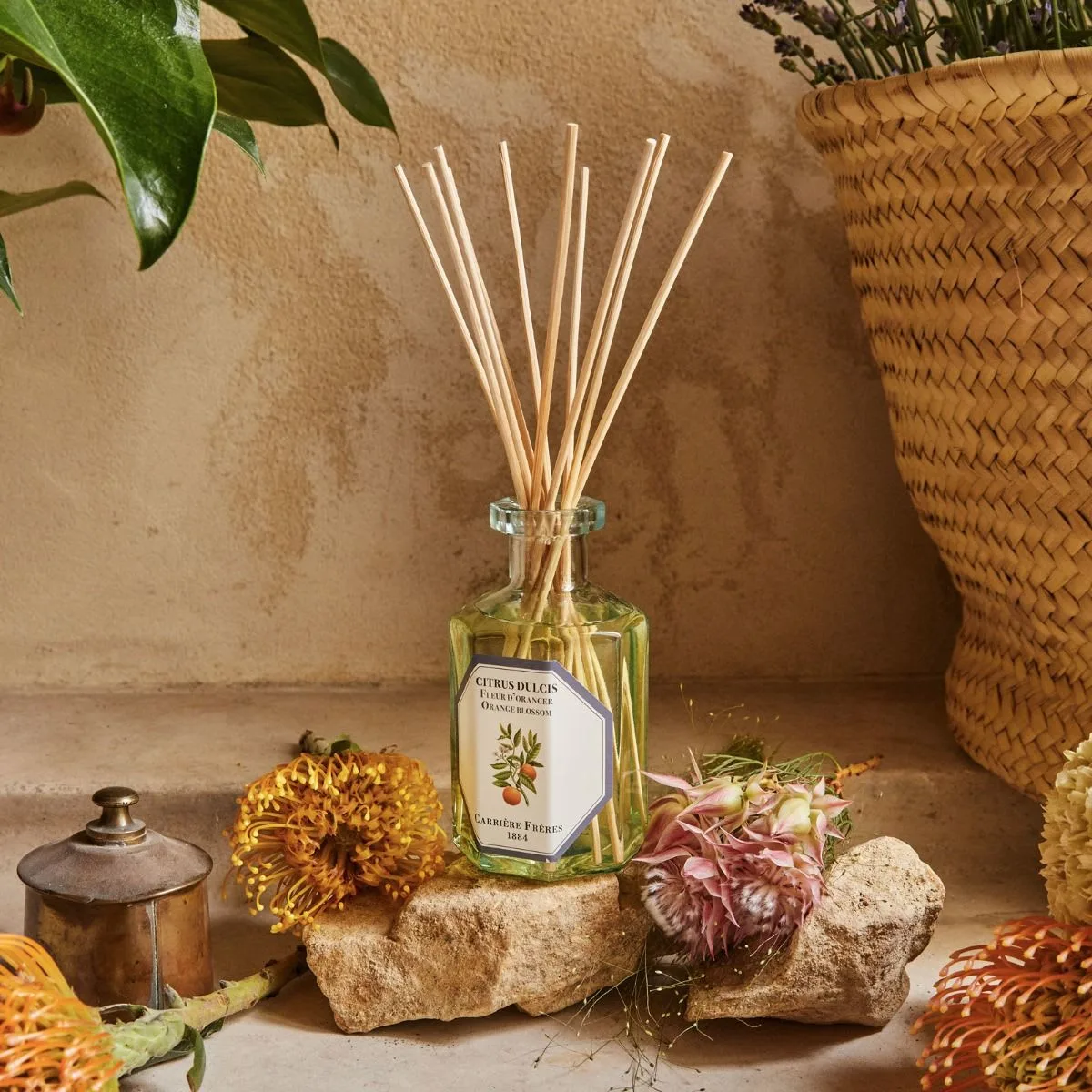 Home-Fragrances-Orange-Blossom-muguet-florist-beverly-hills-3.webp