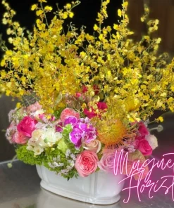 Elegant Oncidium Orchid Dreams: A Vision of Grace and Elegance