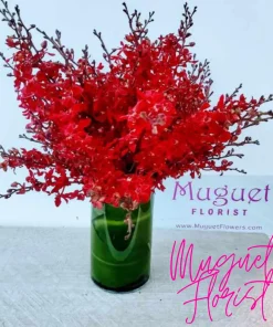 Lion's Splendor: A Majestic Arrangement of Red Renanopsis Orchids