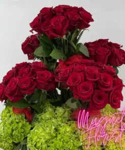 Eternal Love: A Timeless Arrangement of 100 Red Roses and Green Hydrangeas