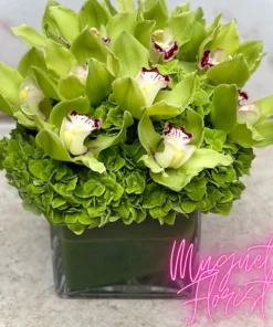 Lush Serenity: Green Cymbidium Orchids and Hydrangeas Arrangement