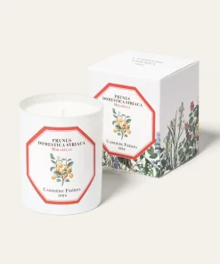 Carrière Frères - Scented Candle - Mirabelle Prunus Domestica Syrica