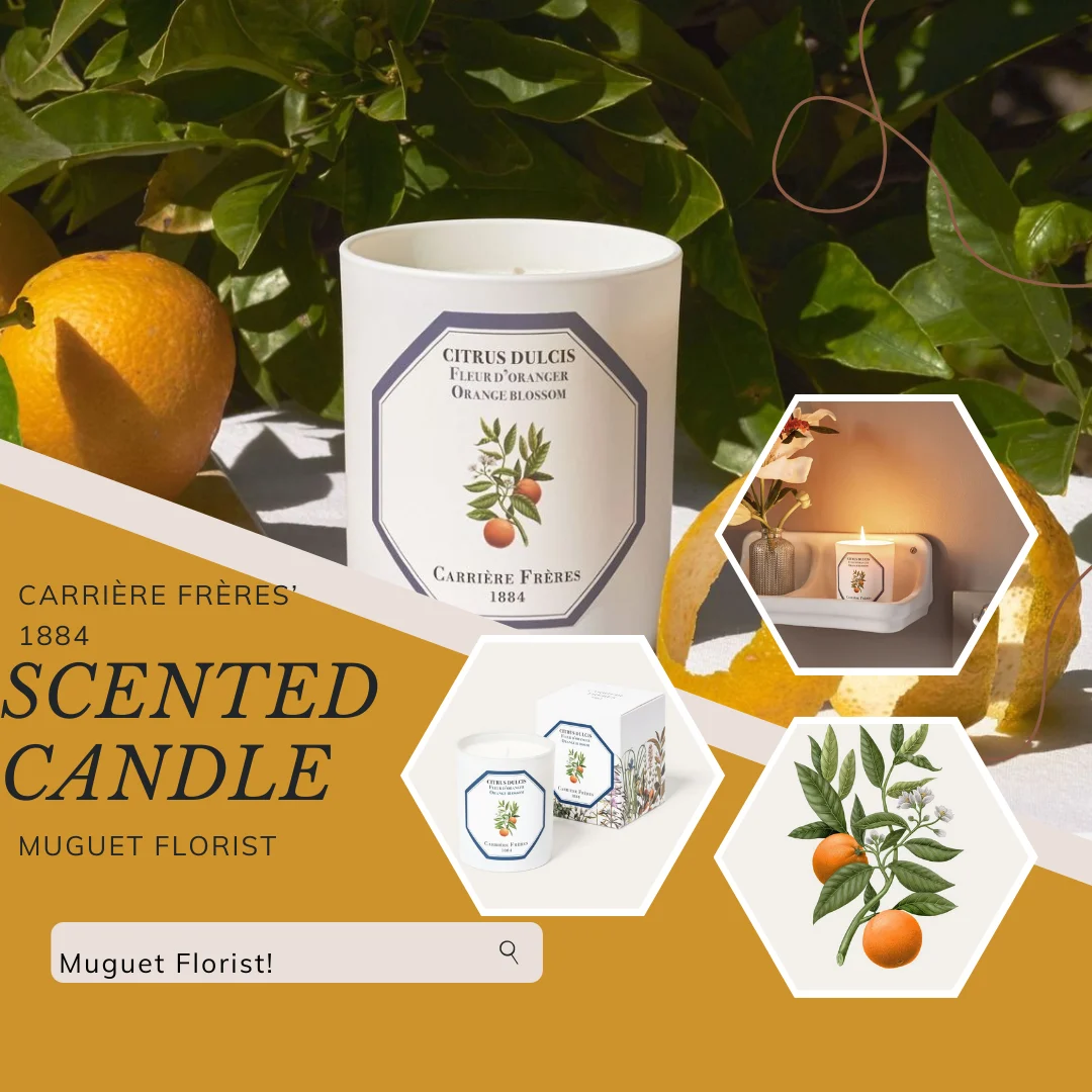 scented-candle-Orange-Blossom-Citrus-muguet-florist-beverly-hills-1.webp