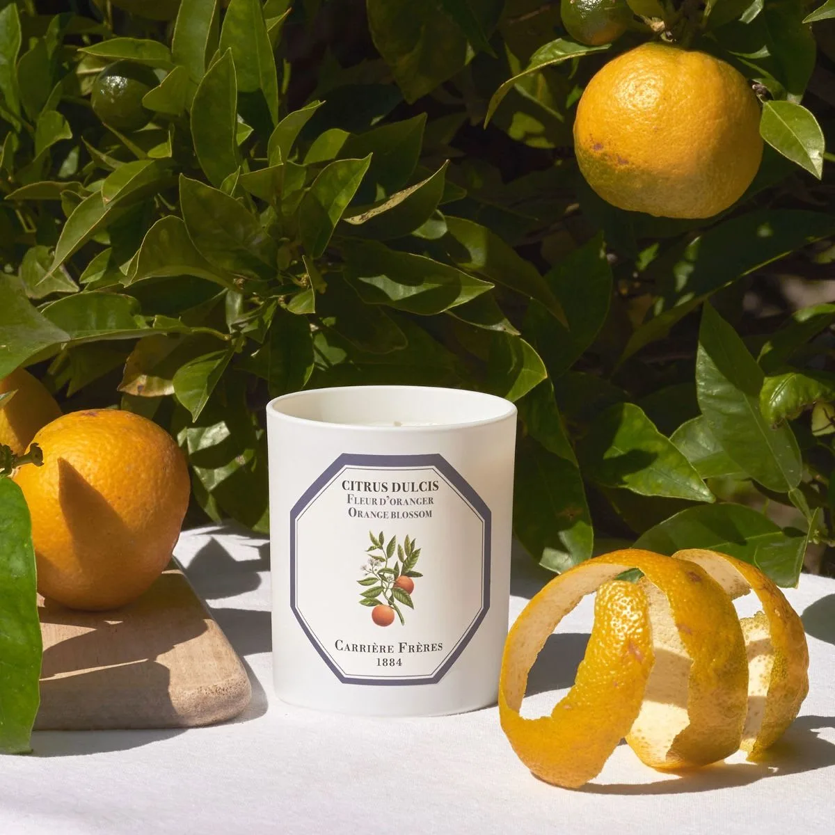 scented-candle-Orange-Blossom-Citrus-muguet-florist-beverly-hills-2.webp