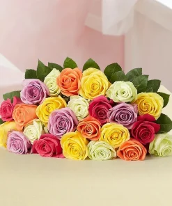 Dazzling Kaleidoscope: Two Dozen Assorted Color Roses Wrap
