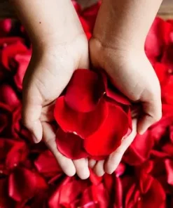 Passion in Petals: Red Rose Petals Bag - Size S