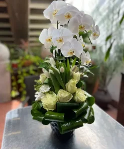 Chérie Elegance: Orchids and Tulips in Harmonious Arrangement