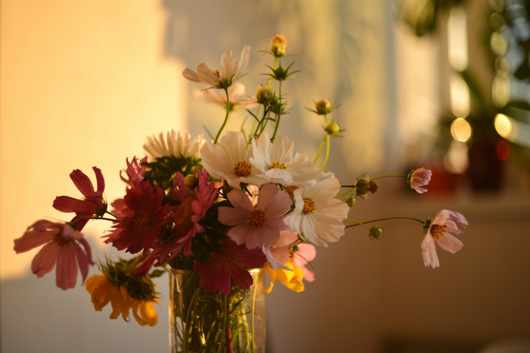 Fresh weekly flowers at home